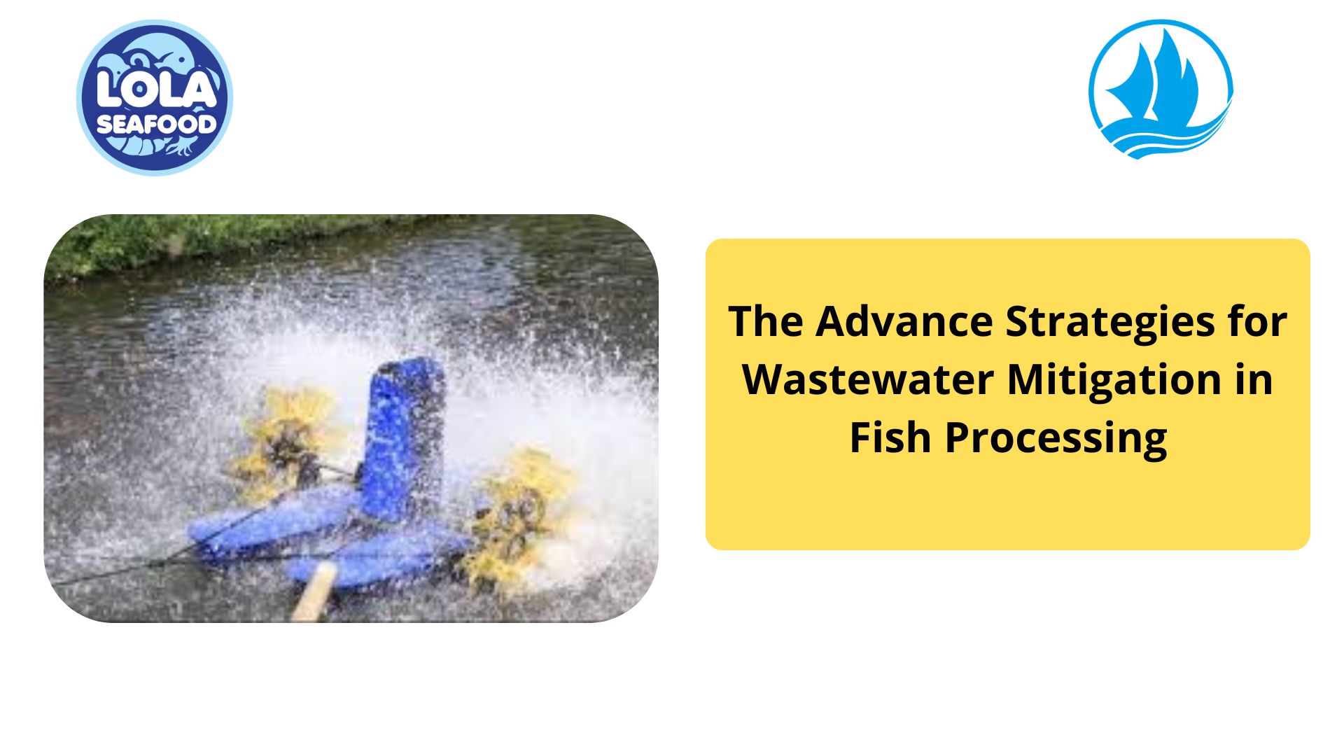The Advance Strategies for Wastewater Mitigation in Fish Processing